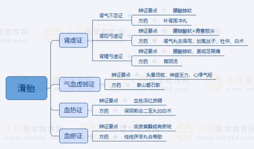 2024中醫(yī)執(zhí)業(yè)醫(yī)師考試 中醫(yī)婦科學(xué)“滑胎”重點(diǎn)知識(shí)點(diǎn)思維導(dǎo)圖詳解（含金融外包類(lèi)比）